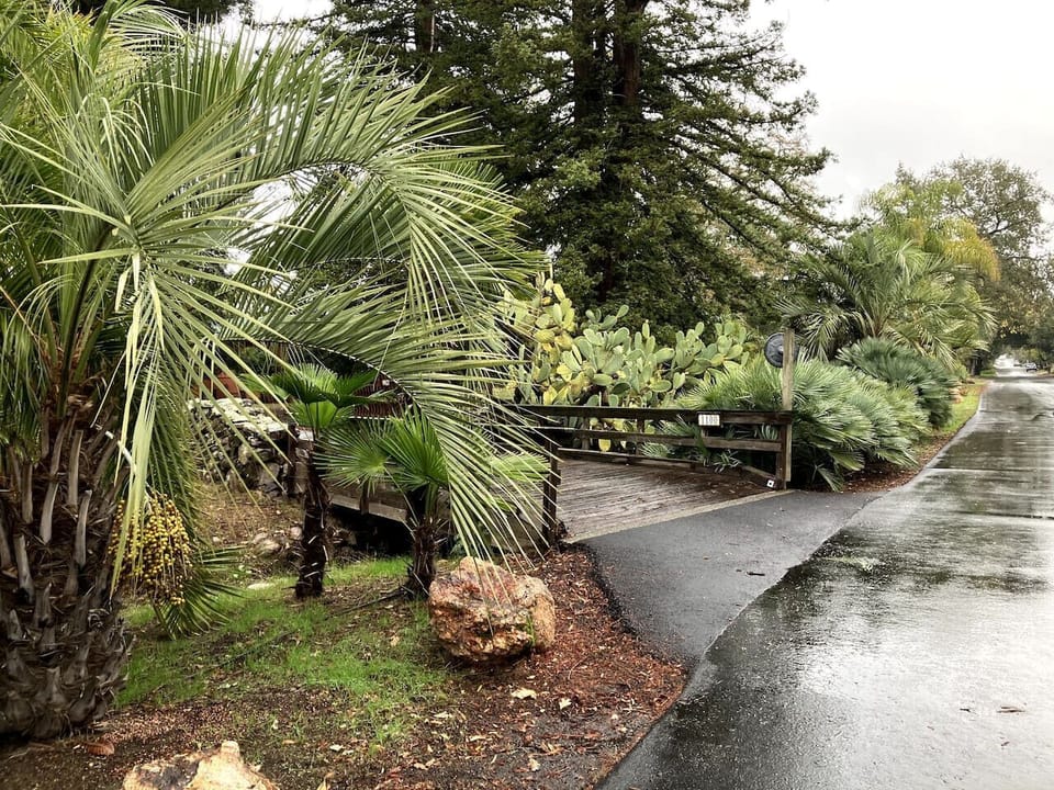 Castle Road Driveway Approach.
