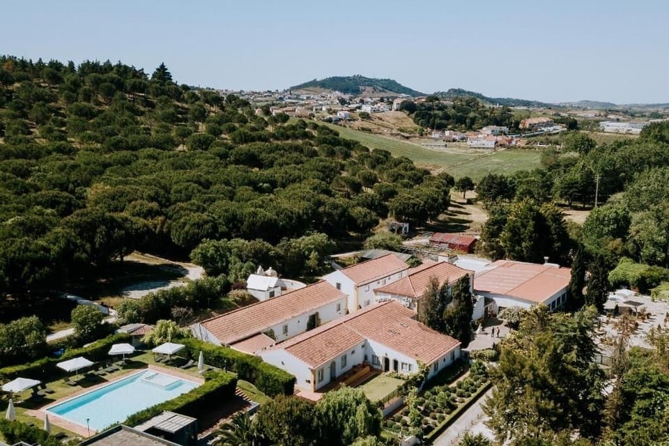 Aerial View of the property