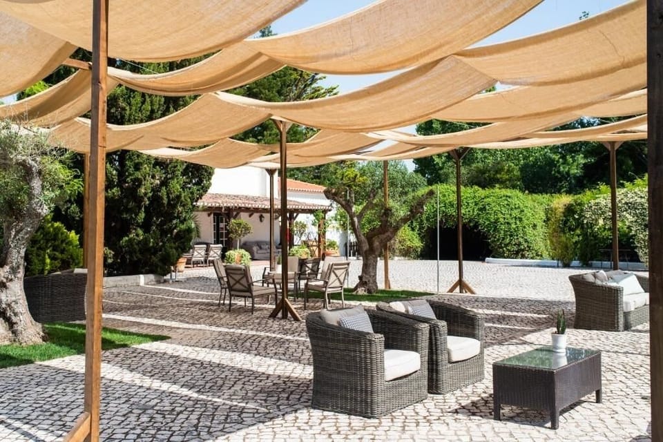 Outdoor Lounge