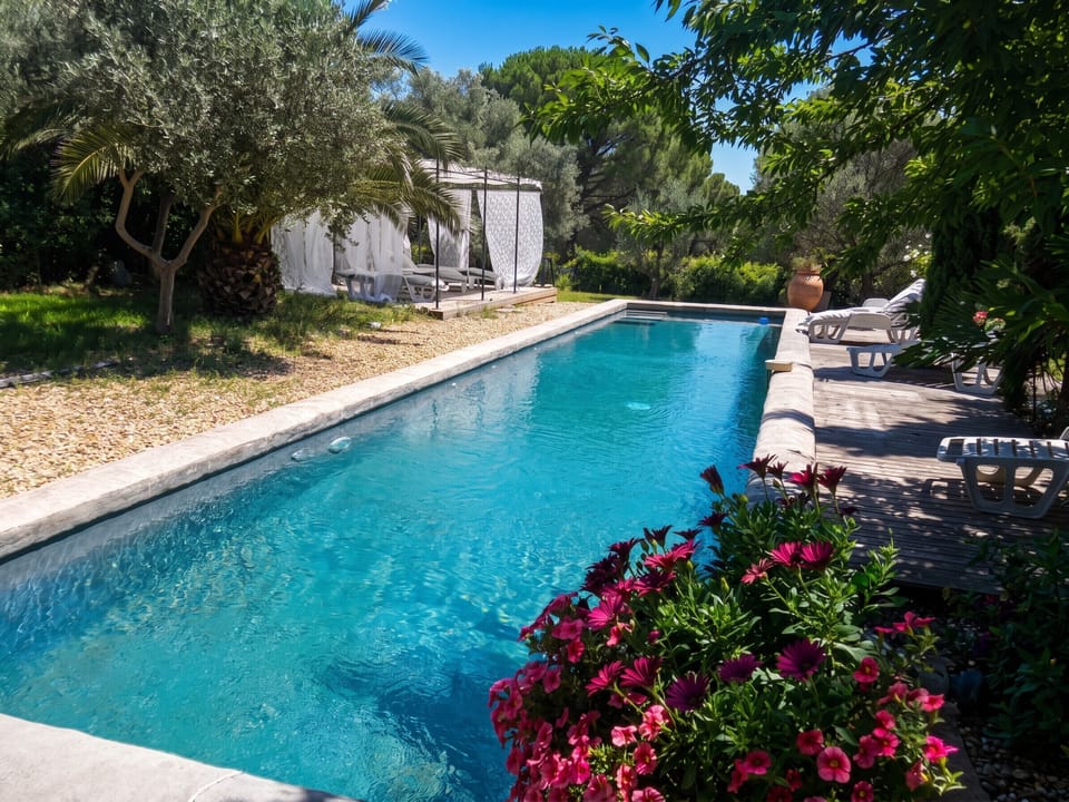 Swimming pool view