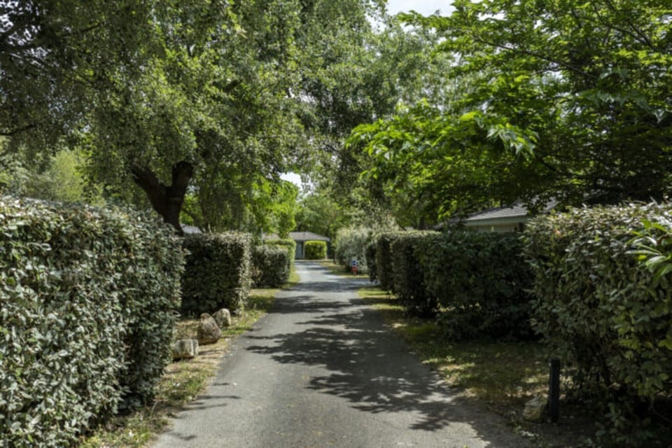 Garden [summer]