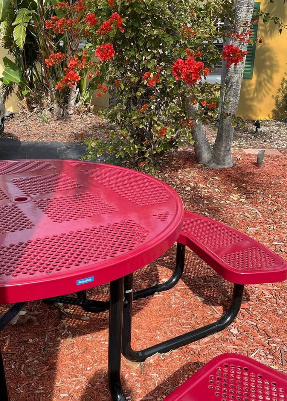 Two picnic tables and gas grills