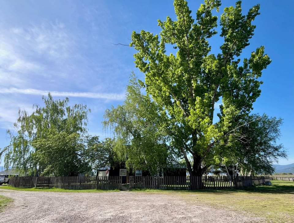 The front of the farmhouse surrounded by mature trees. 