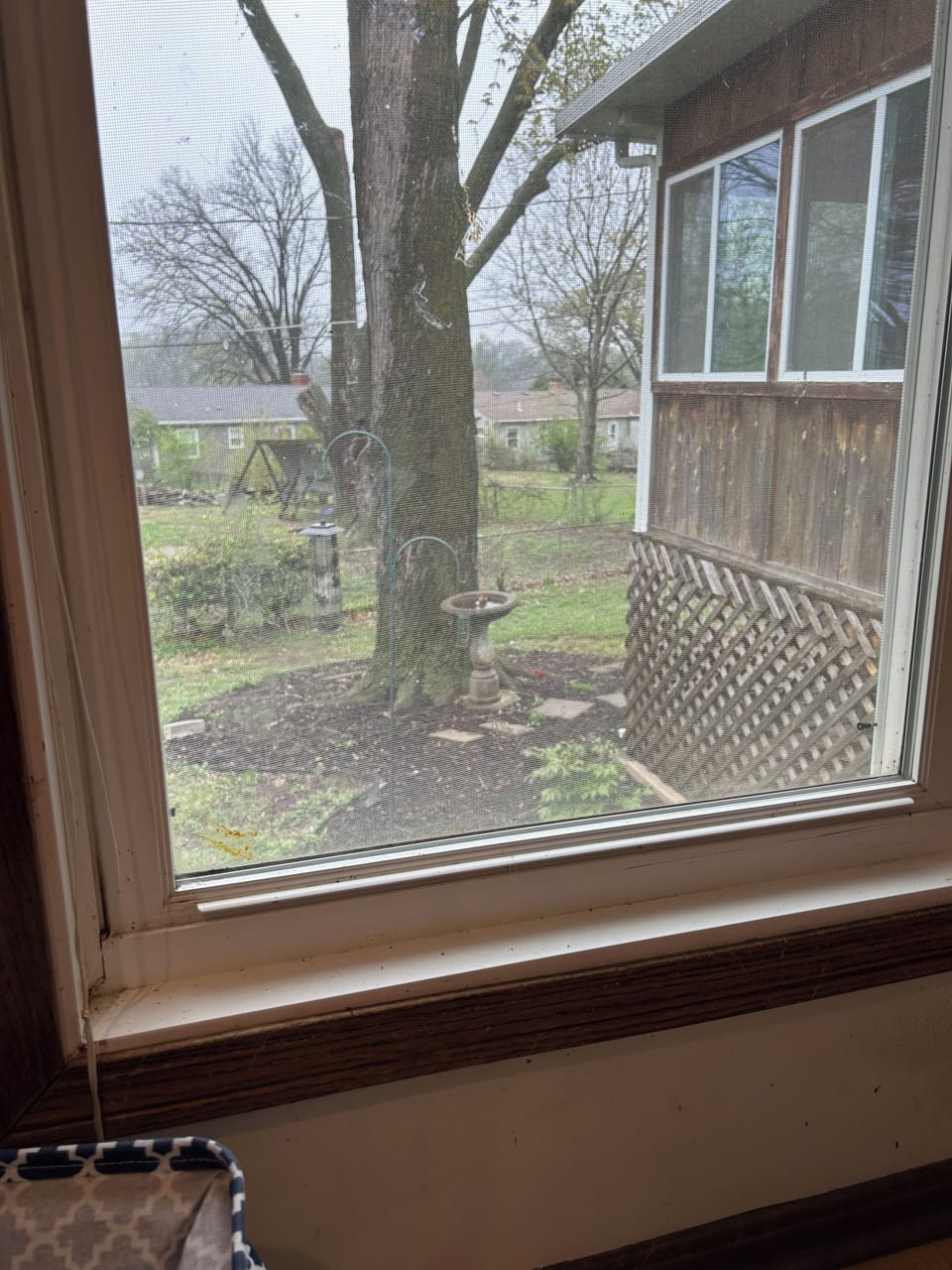 View from the kitchen table