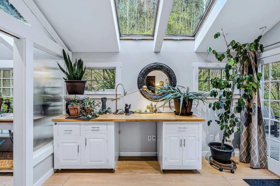 Primary suite sunroom filled with natural light from skylights, surrounded by plants