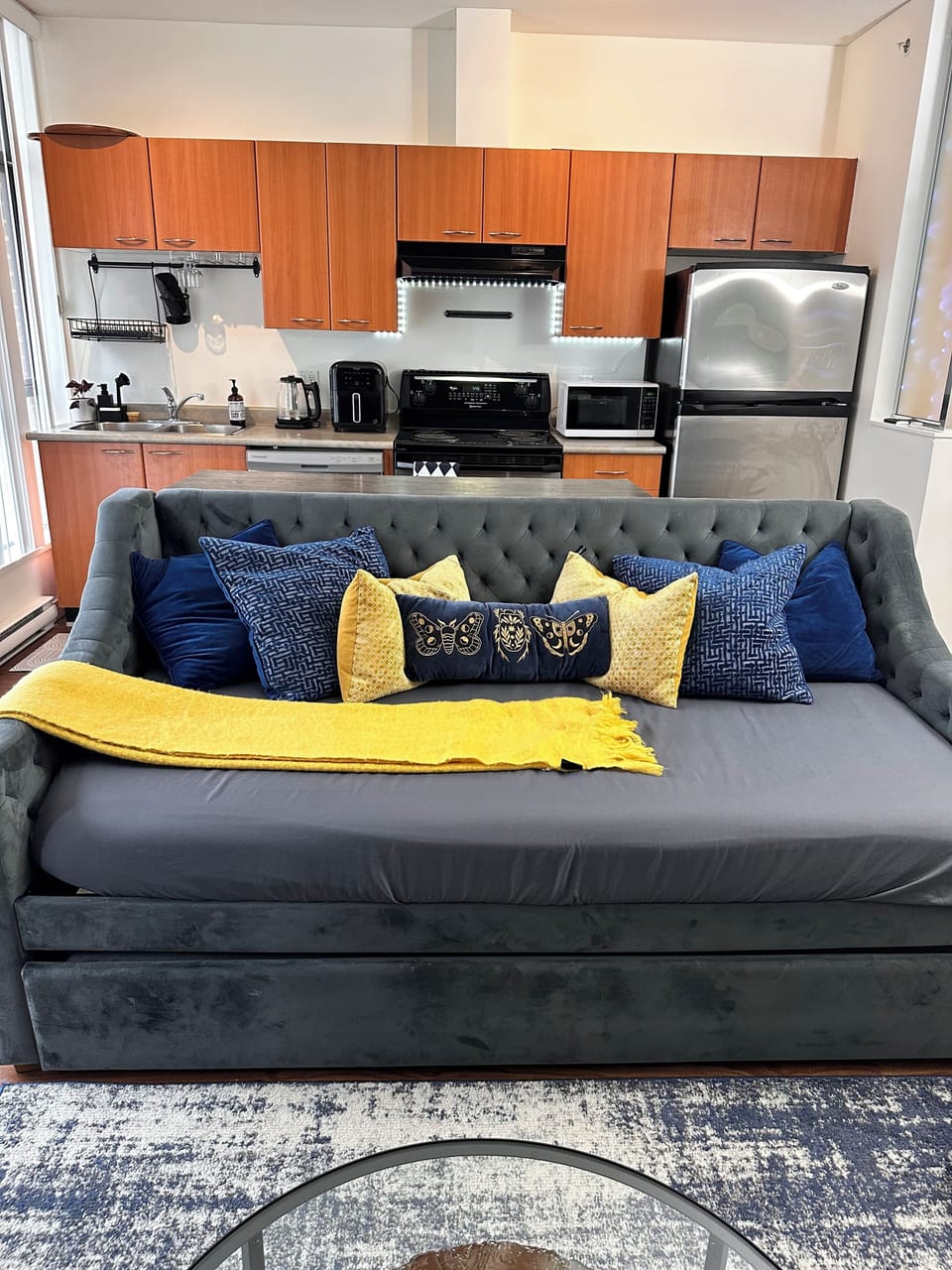 Day Bed can sleep 2