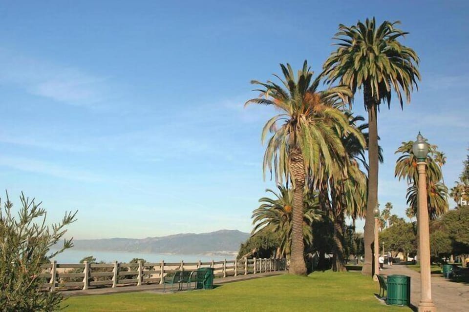 Unwind beneath swaying palms with serene coastal views.
