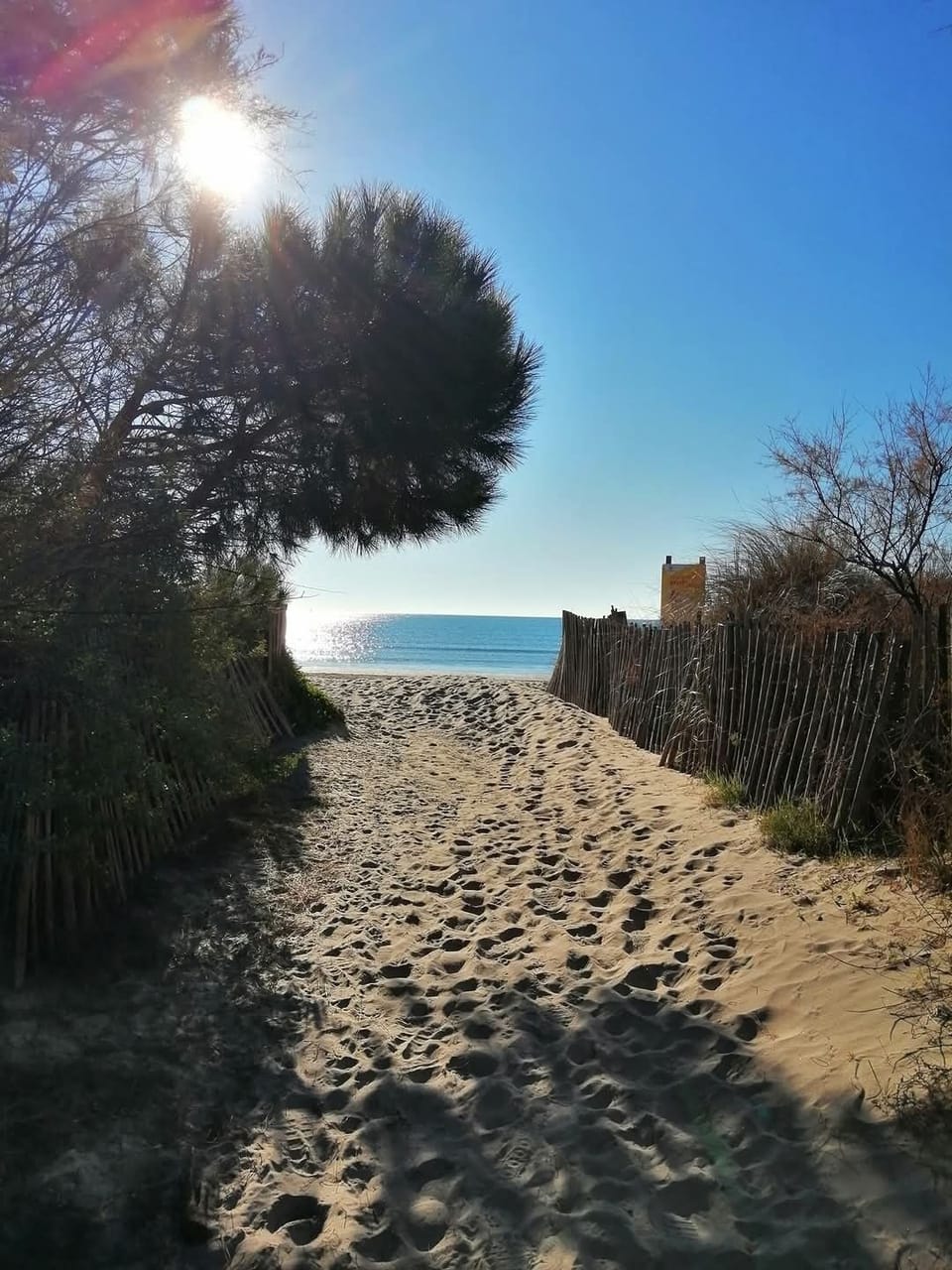 Beach