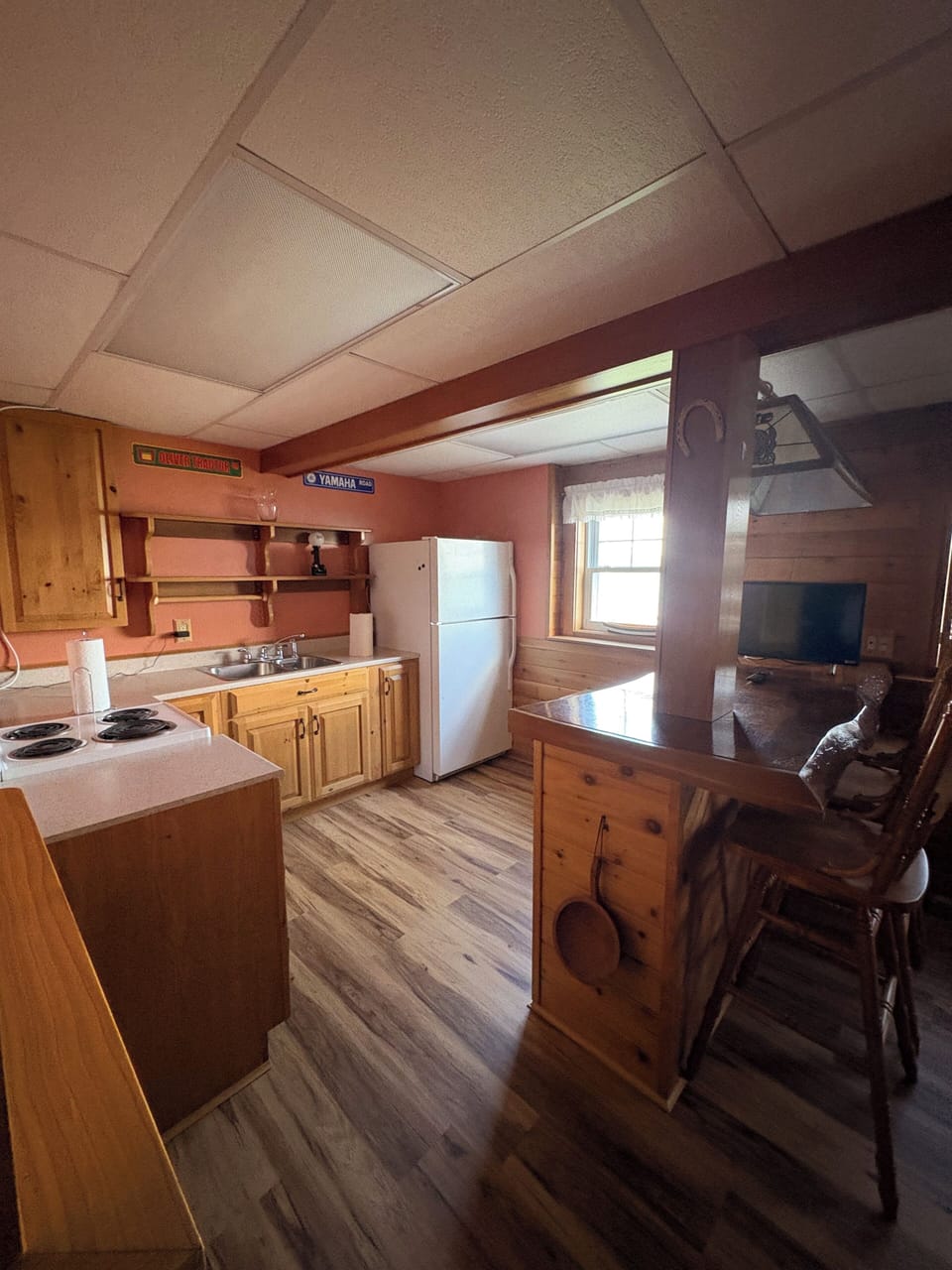 Finished basement Kitchen/Bar