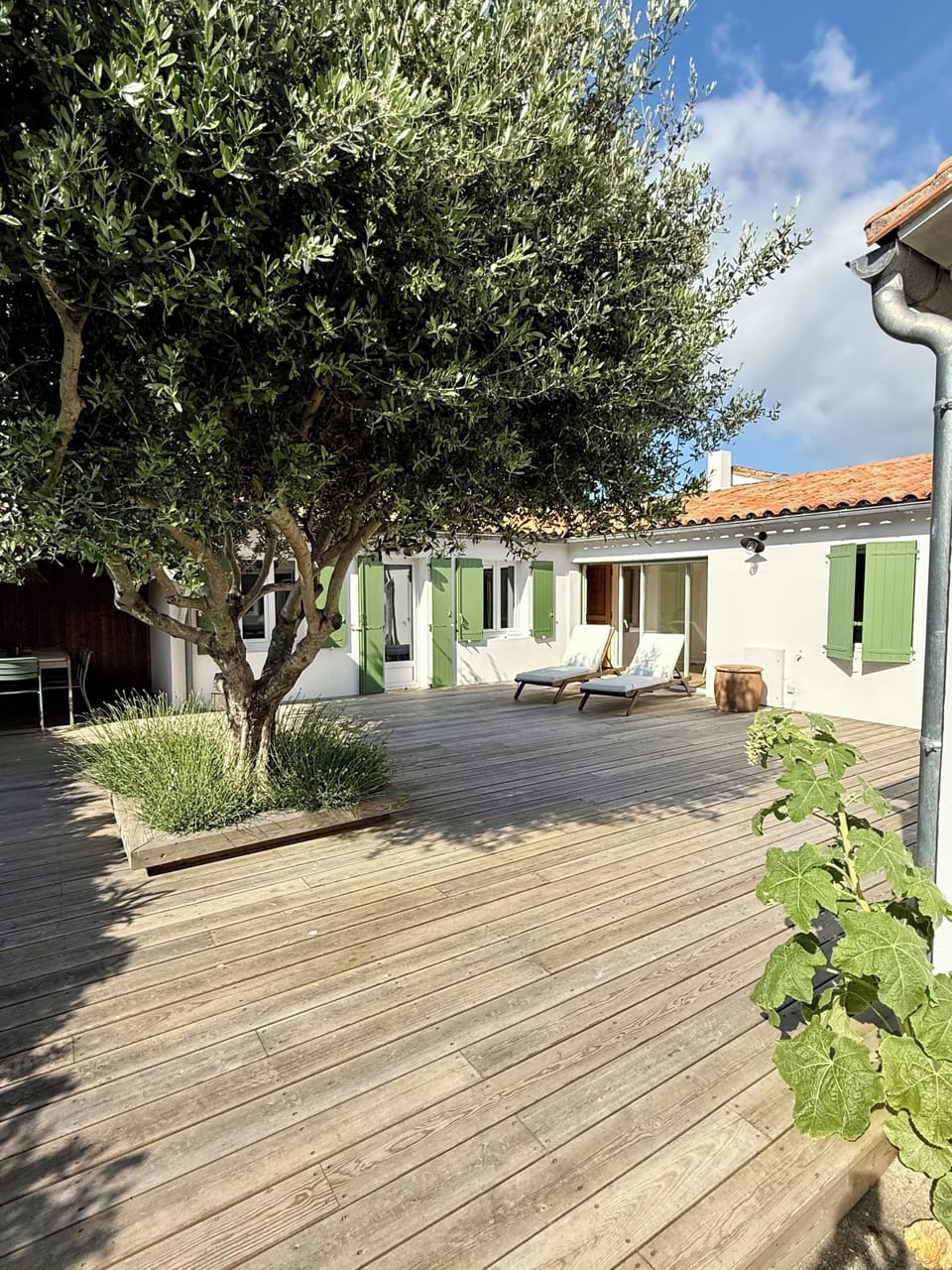 Terrace/patio