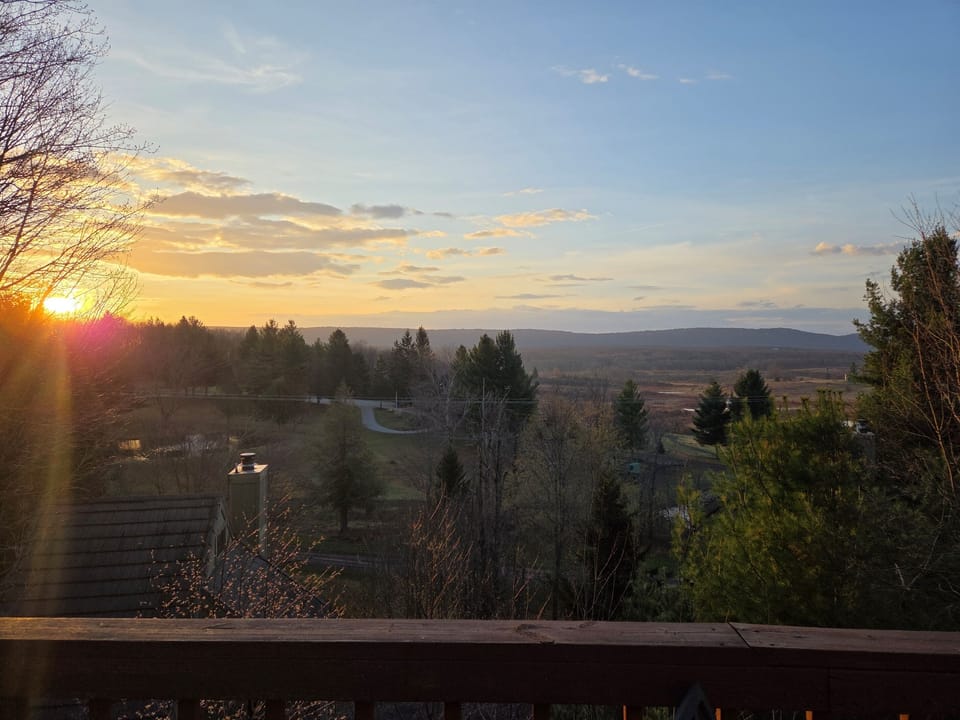 View from property