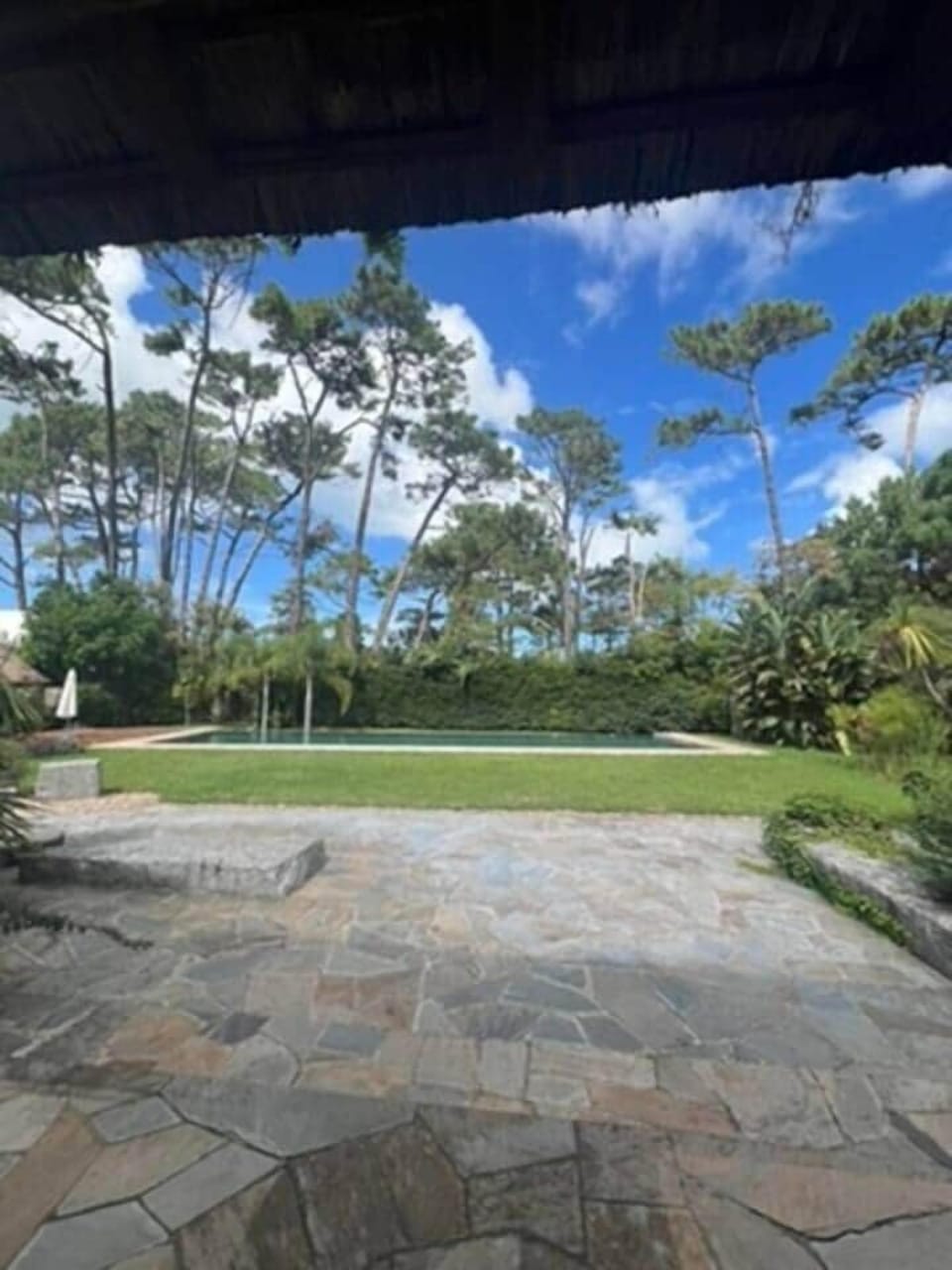 View of pool and yard from the living room