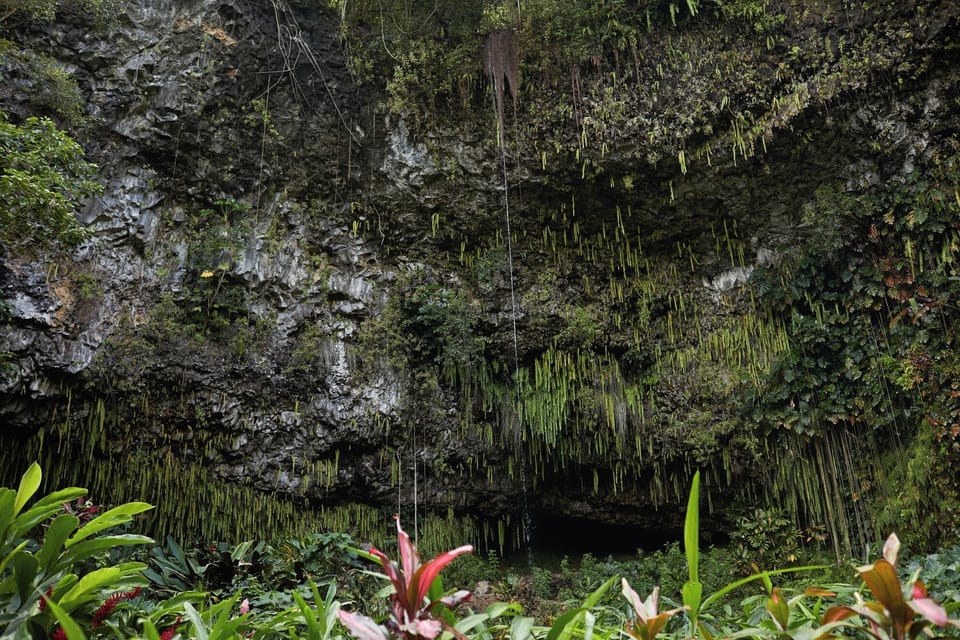 The Fern Grotto ... Credit: HTA / Daeja Fallas