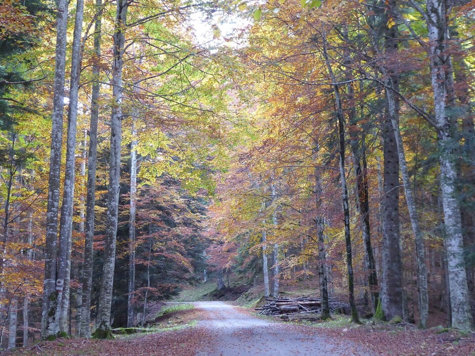 Activities, Autumn, Outdoor, Spring, Summer