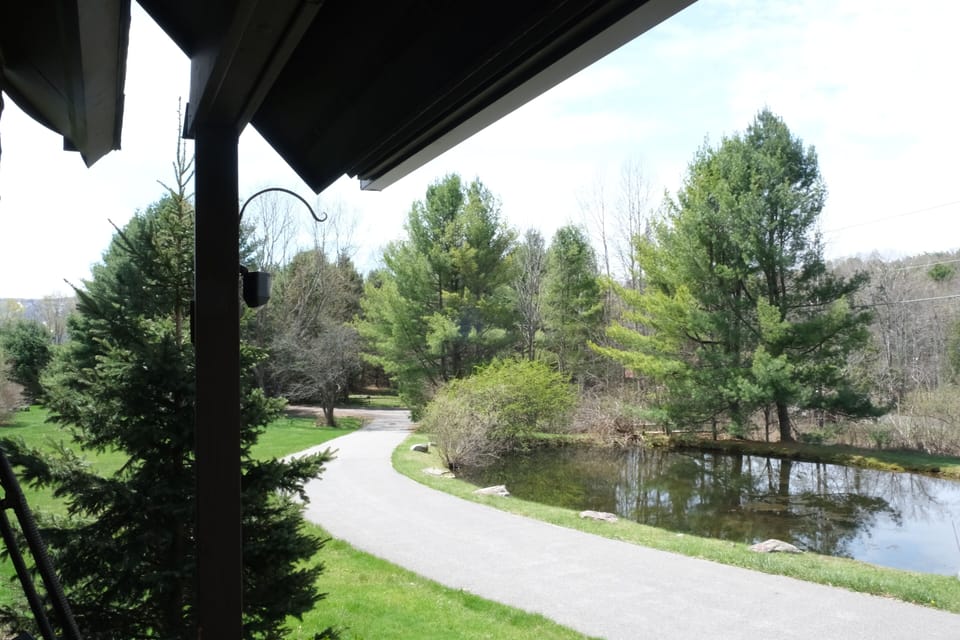 Scenic property view overlooking a private pond and lush greenery.