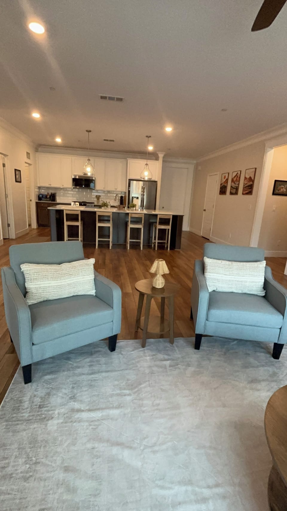 Living room chairs