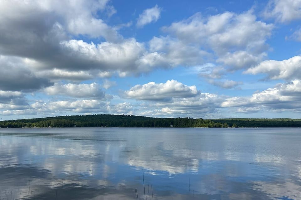 Molasses Pond