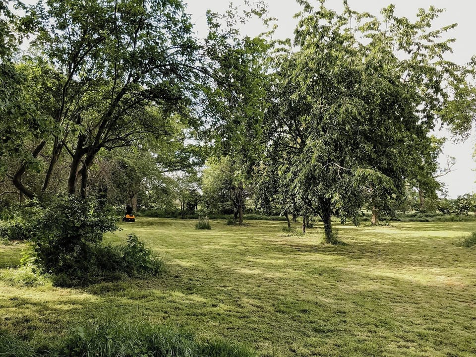 Miscellaneous