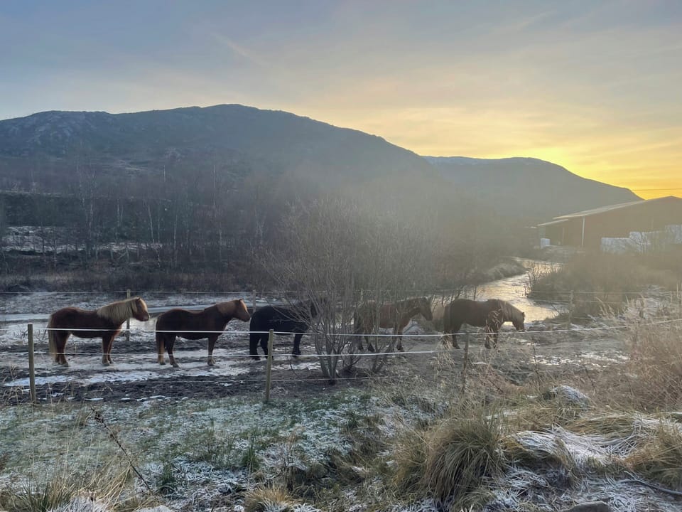 Miscellaneous