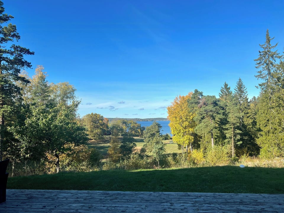 View from property