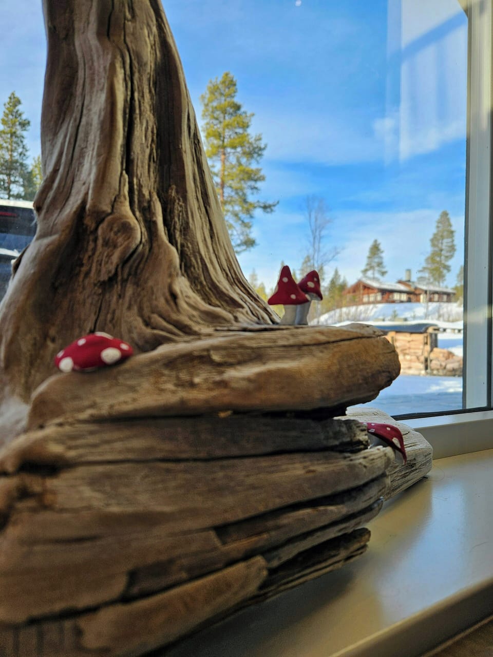 View from property