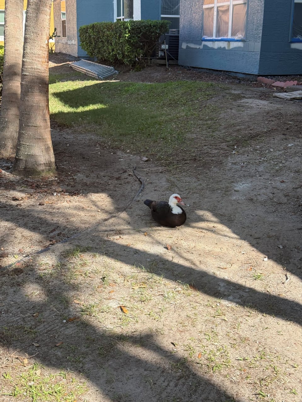 Property grounds