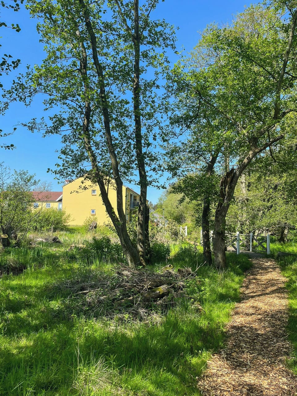 Property grounds