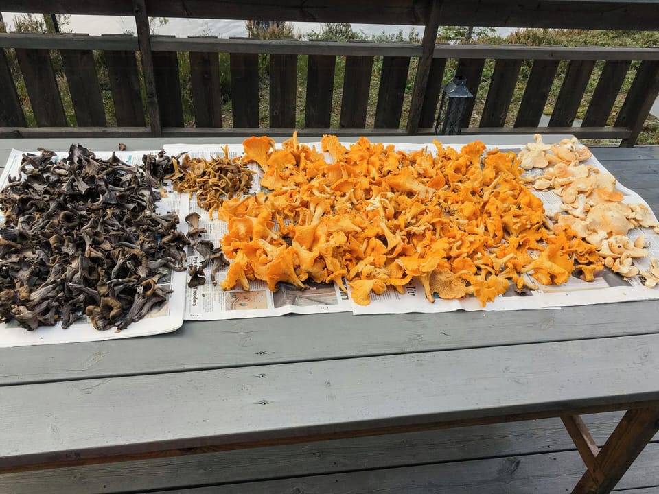 Food and drink