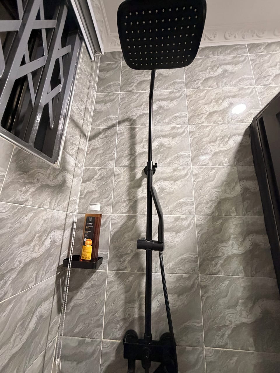 Hand-held showerhead