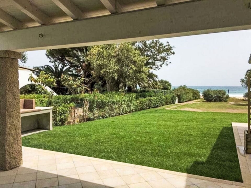 Grass, Garden, Shrub, Land Lot, Lawn, Shade, Groundcover, Landscaping, Backyard
