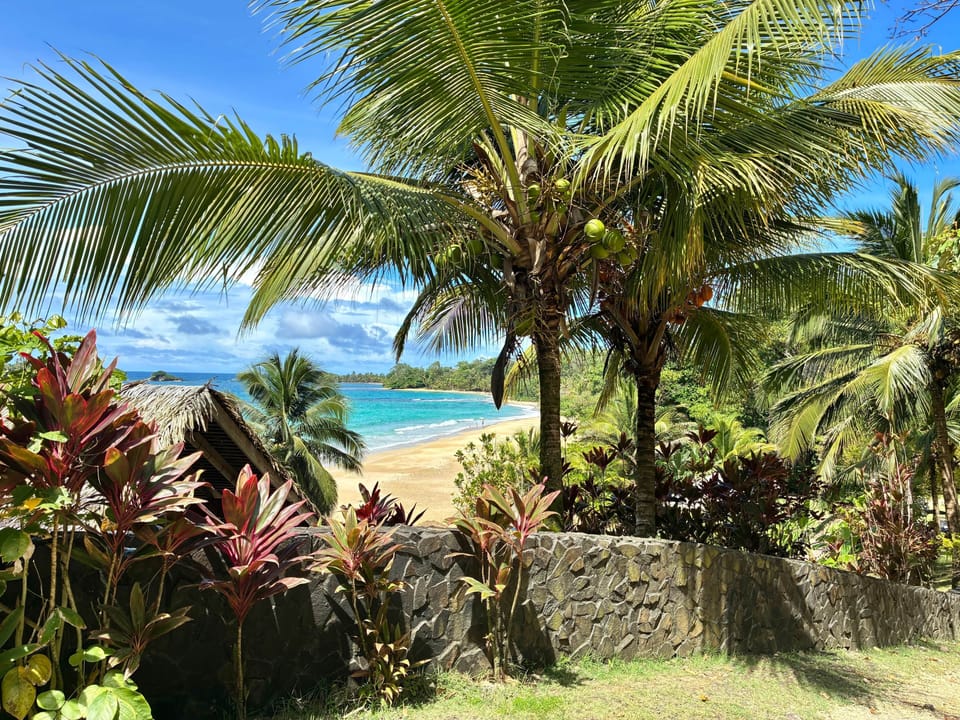 Beach Views