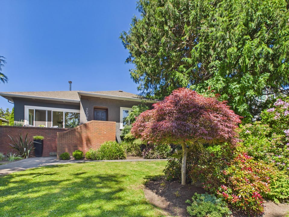 Incredible curb appeal. A gorgeous crimson maple tree frames the front lawn, welcoming you into this stunning, private property.