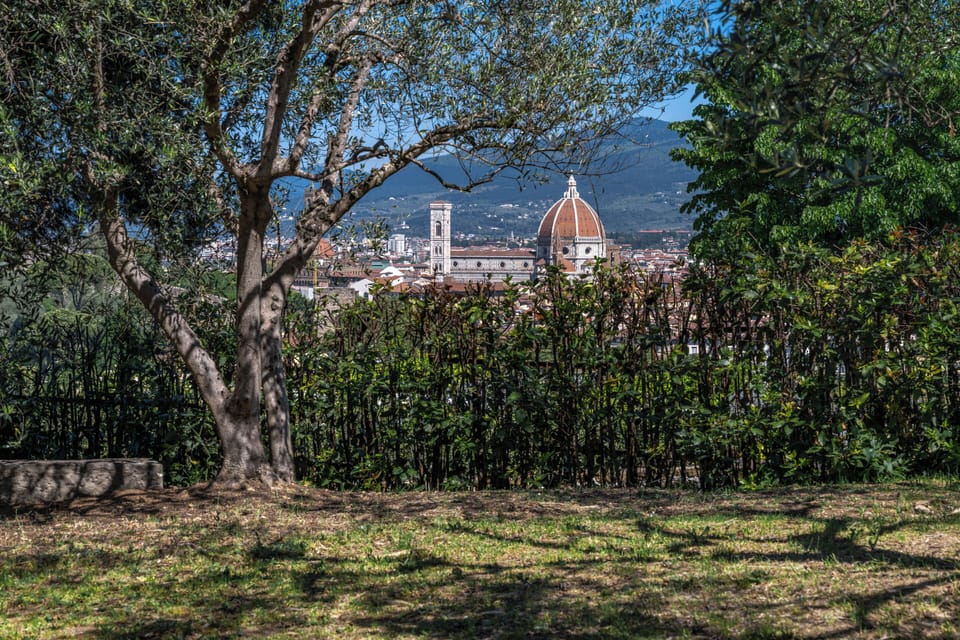 View of the Duomo from the lower garden