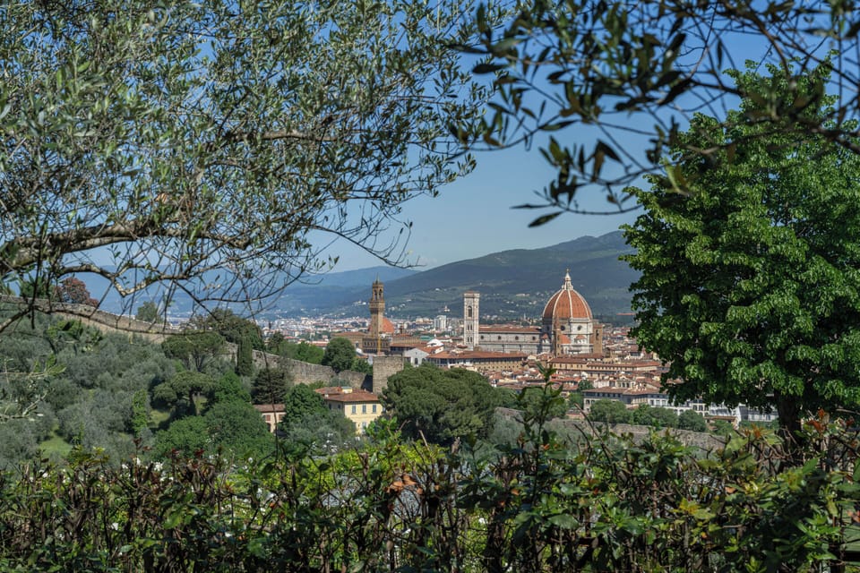 View of the Duomo, Bell Tower and the Uffizzi from the villa