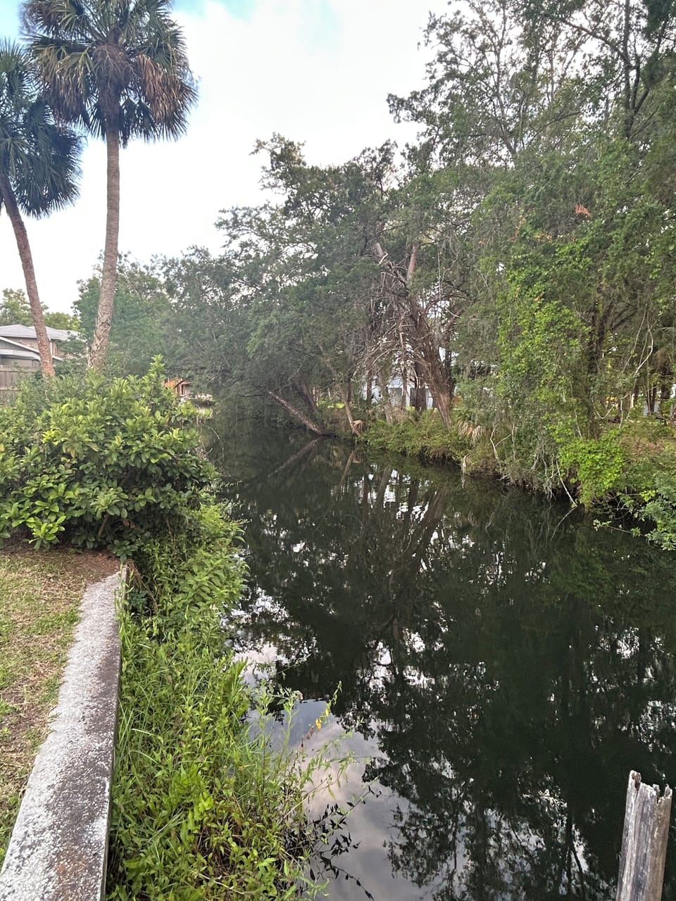Canal view