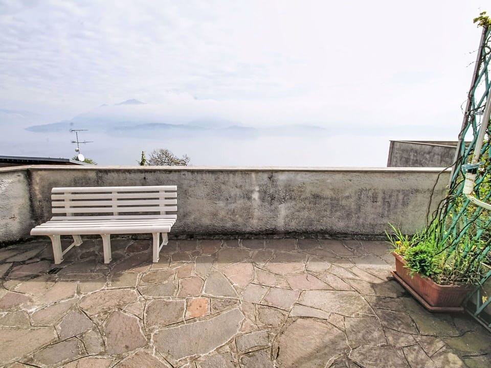 Residential Area, Shrub, House, Home, Garden, Estate, Shade, Landscaping, Lawn