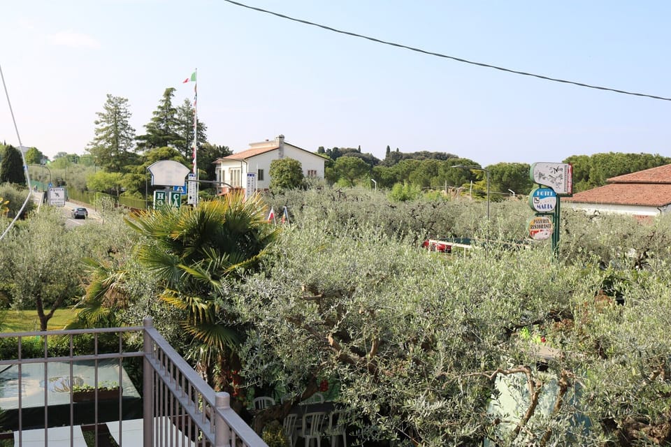 View from Holiday Home [summer]