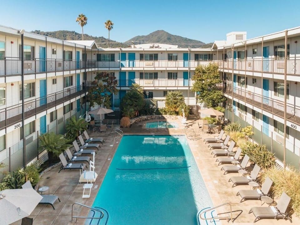 Dive into a bright courtyard pool framed by palm trees.