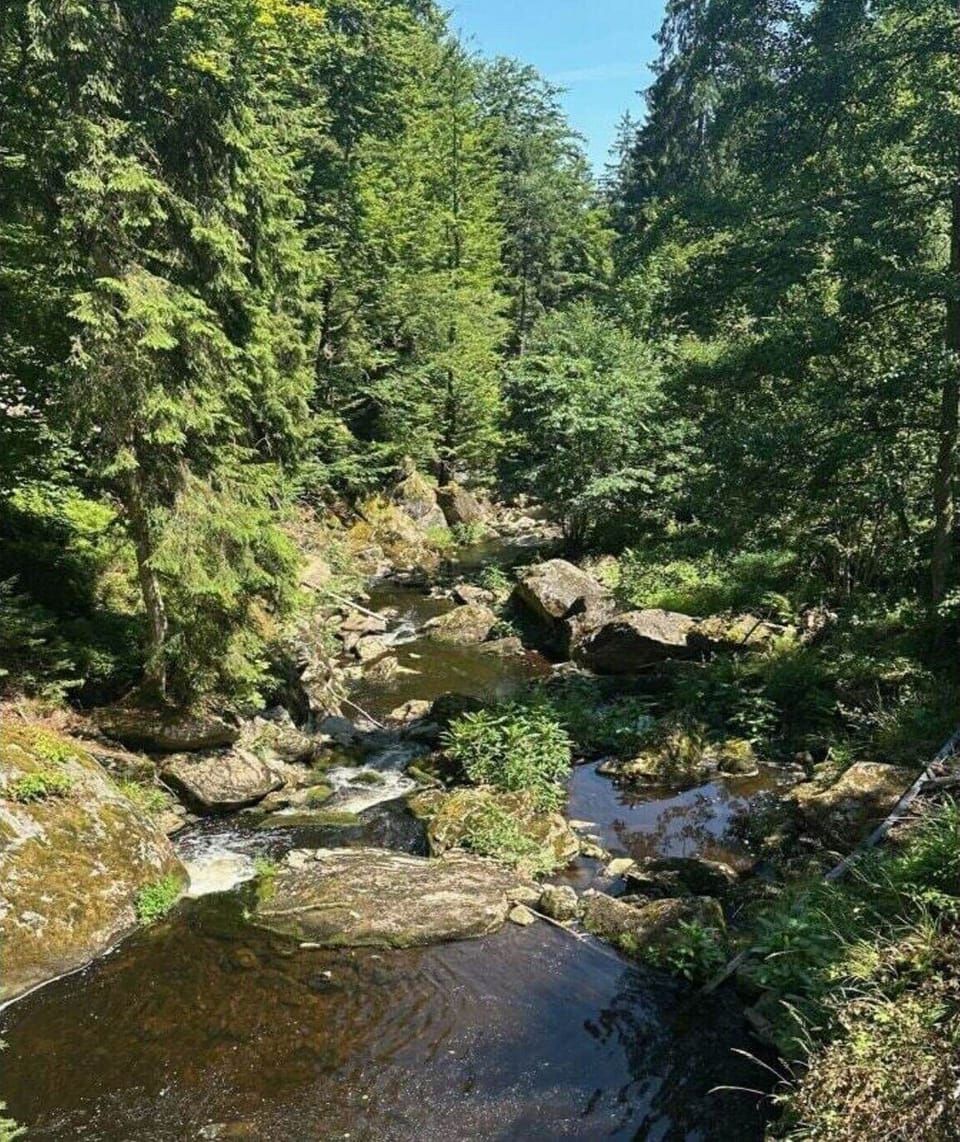 Surroundings [summer] (1-5 km)