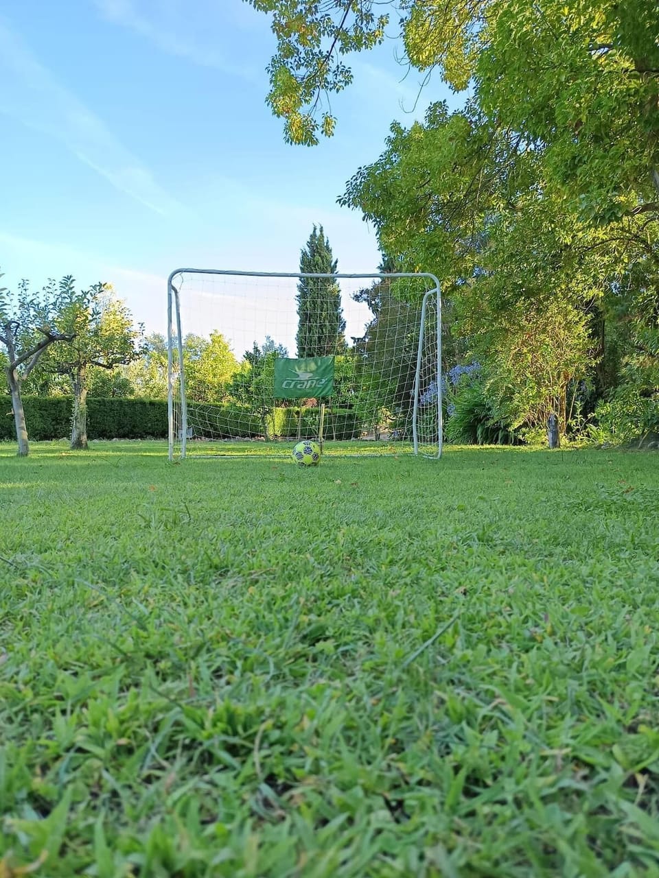 Sport court