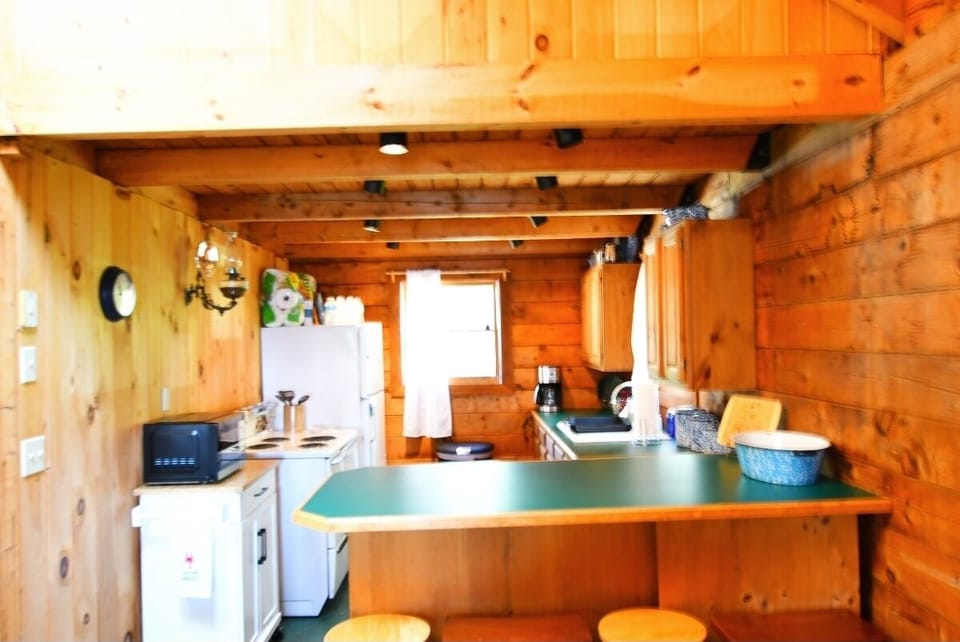 Kitchen has electric stove, microwave, fridge,  dishware, utensils cooking pans