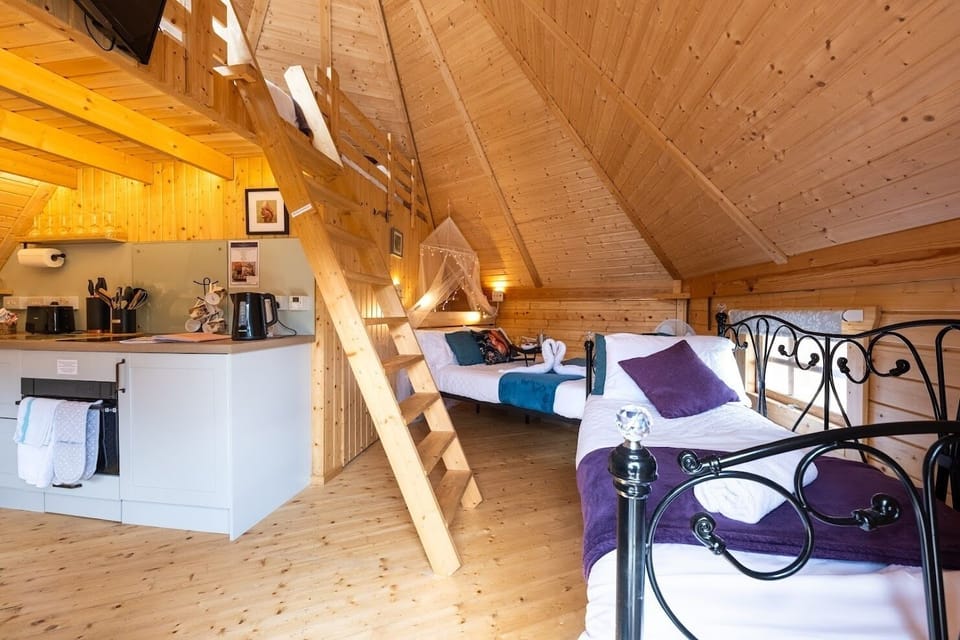 Squirrel lodge with sofa bed