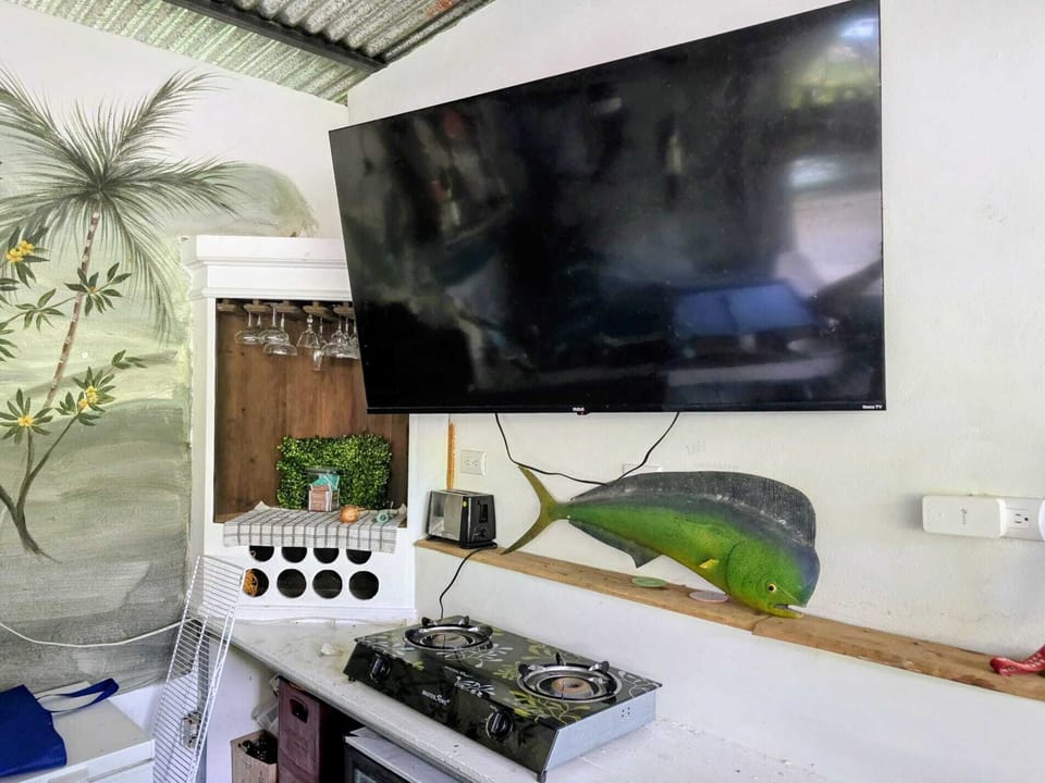 Cooktop and TV behind the bar in the Rancho