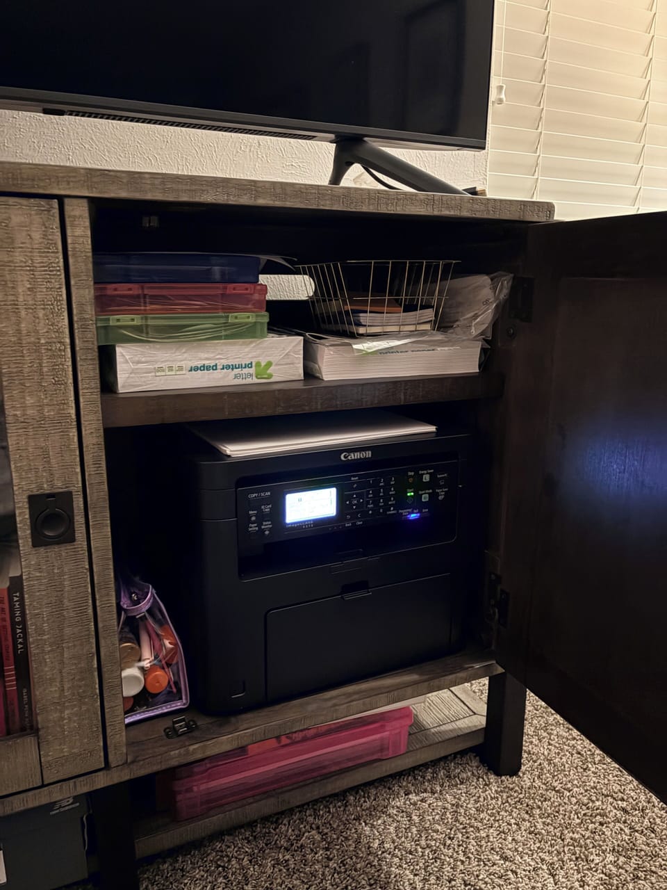 Television