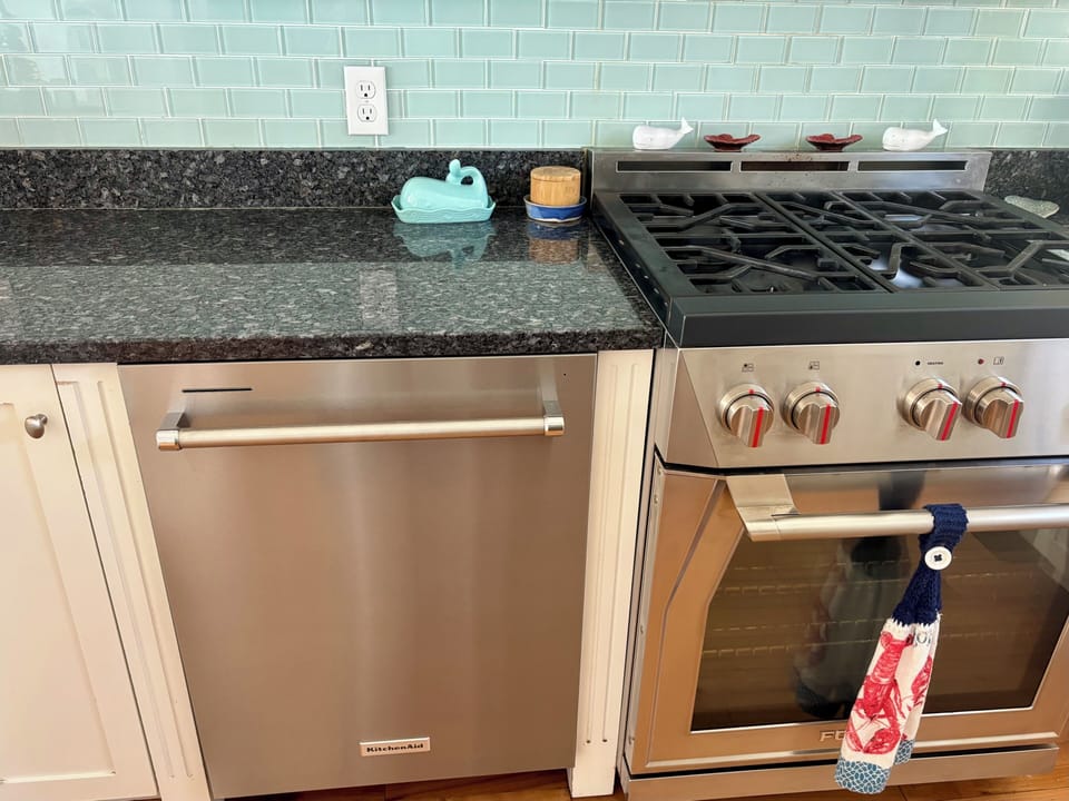 Chef’s kitchen and Forza Italian convection gas oven 