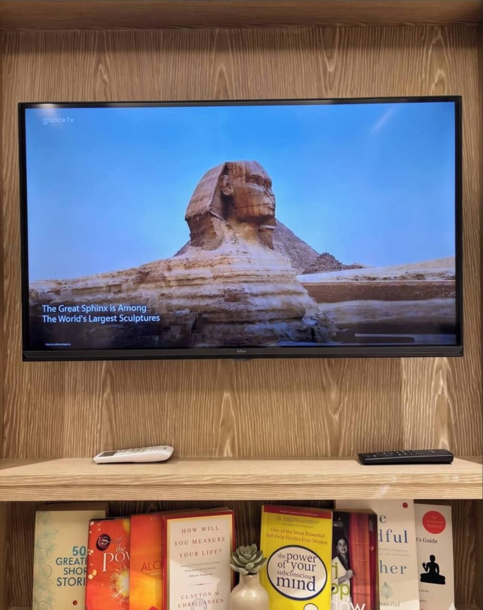 Television