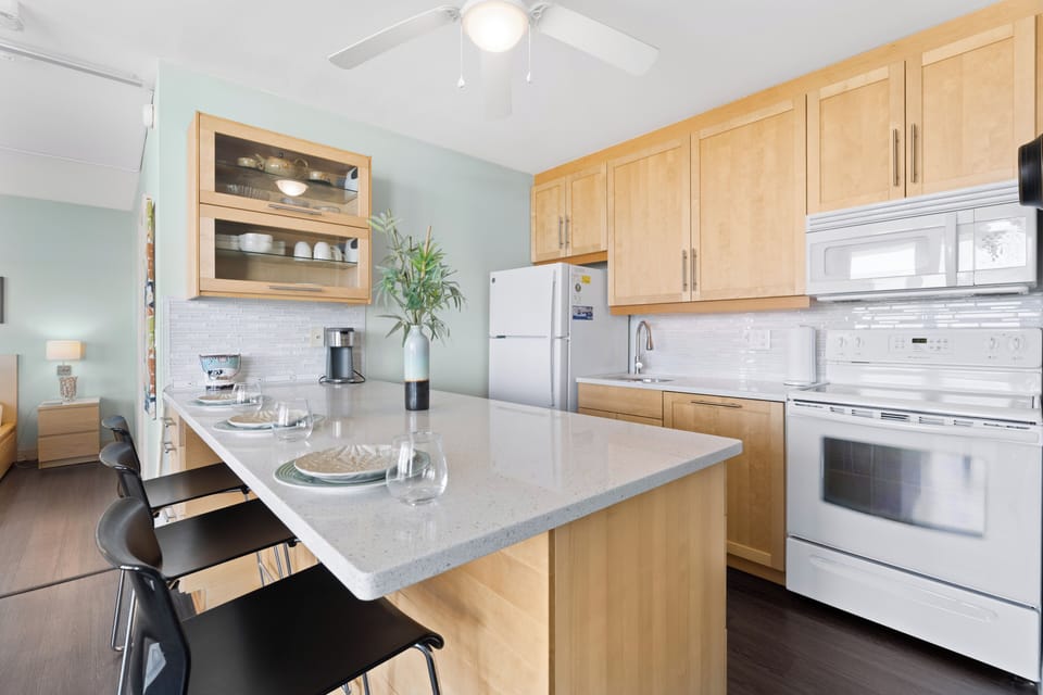 Kitchen Area-Fully Equipped.