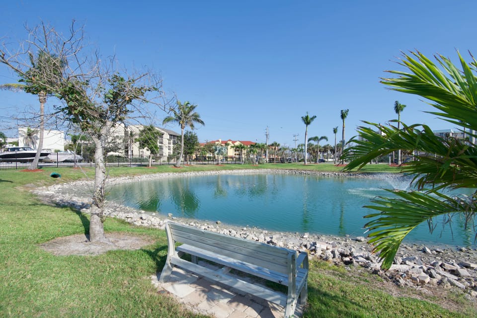 Pond on the grounds