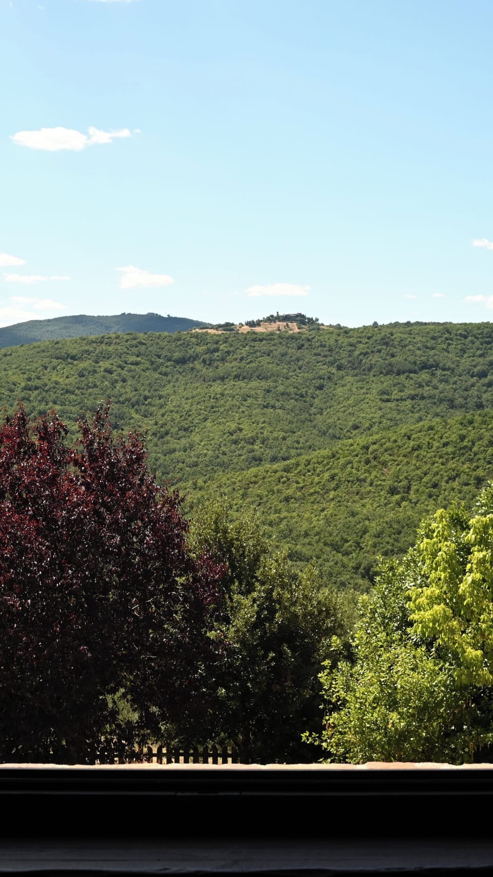 View from property