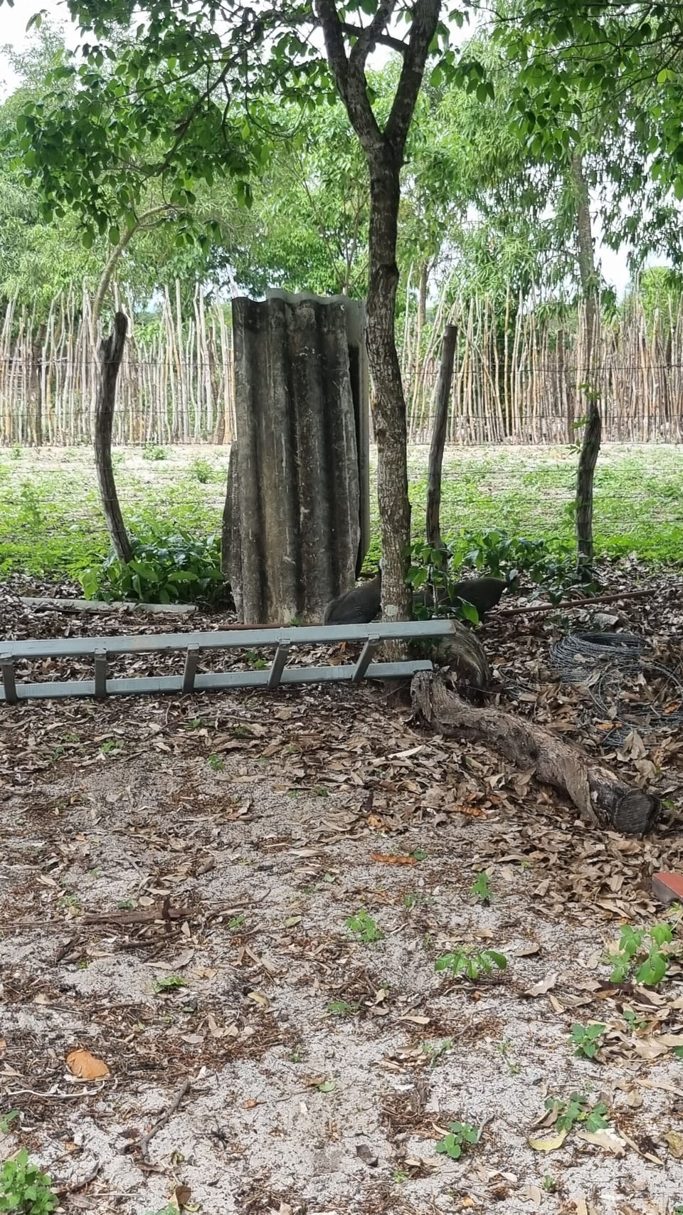 Property grounds